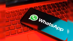 Businesses not kicked about WhatsApp's username move despite user interest